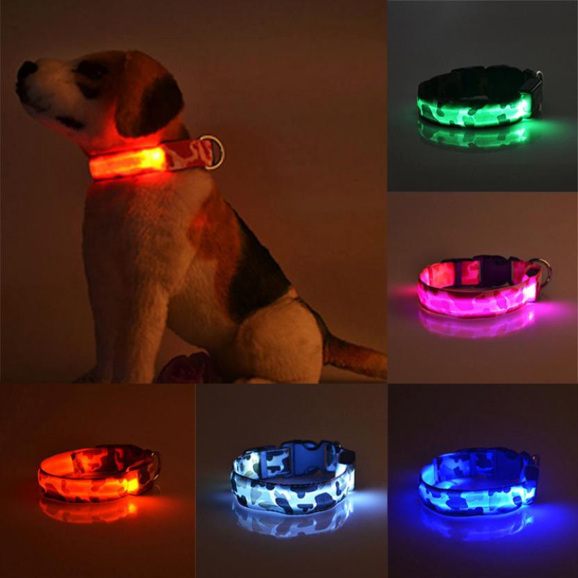Pawnest LED Dog Collar | Glow Safety Collar for Night Walks